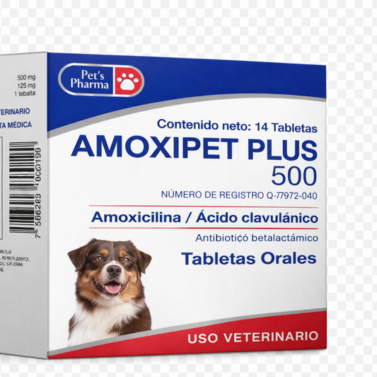 Amoxipet Plus