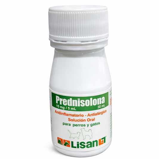 Prednisolona 15 mg / 5 mL – Solución Oral