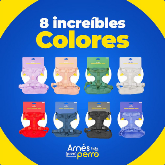 Arnés Acolchado Clásico Hola Pets®
