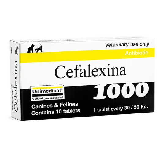 Cefalexina