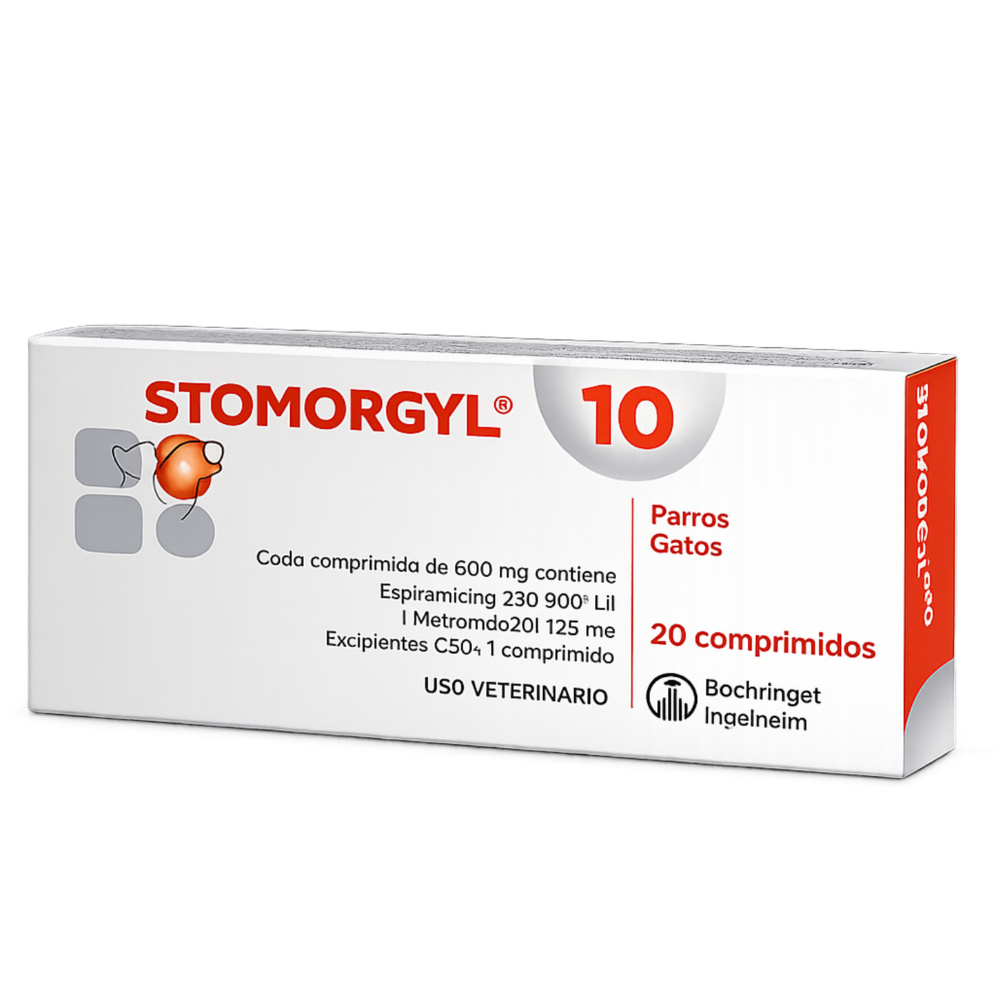Stomorgyl